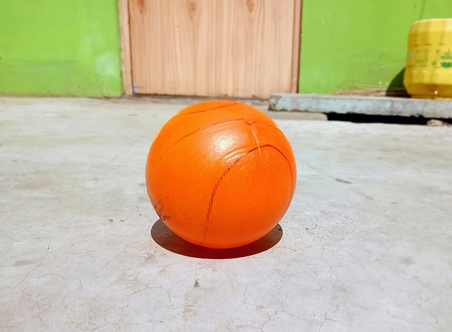 的胜利奠定 的胜利奠定