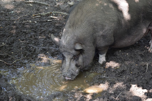 无与伦比的 无与伦比的