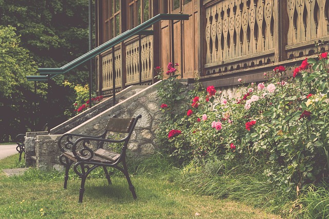 冕总冠军 冕总冠军